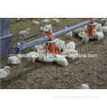 Automatic Chicken Farm Equipment